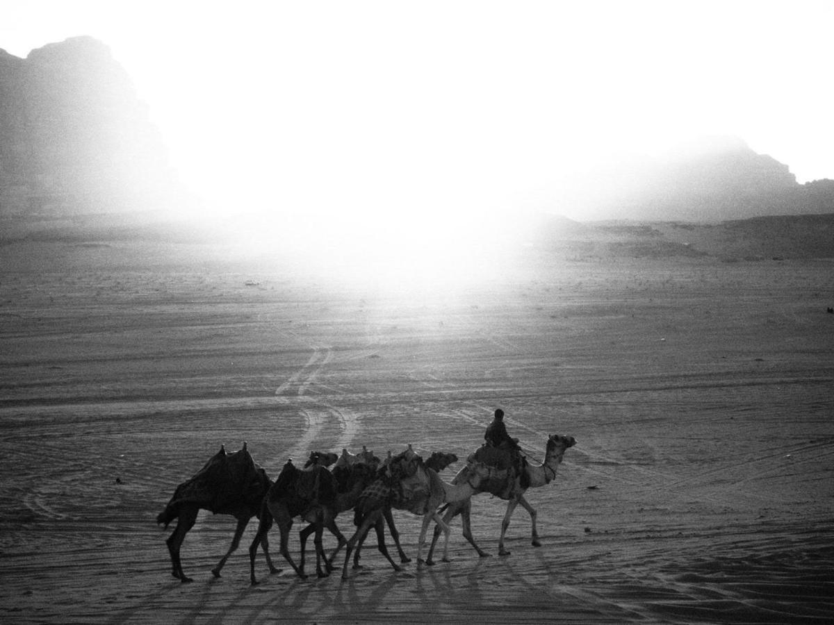 White Desert Camp Wadi Rum Eksteriør bilde