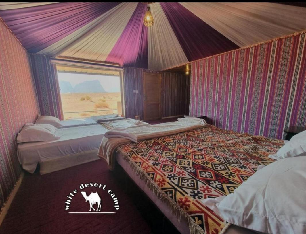 White Desert Camp Wadi Rum Eksteriør bilde